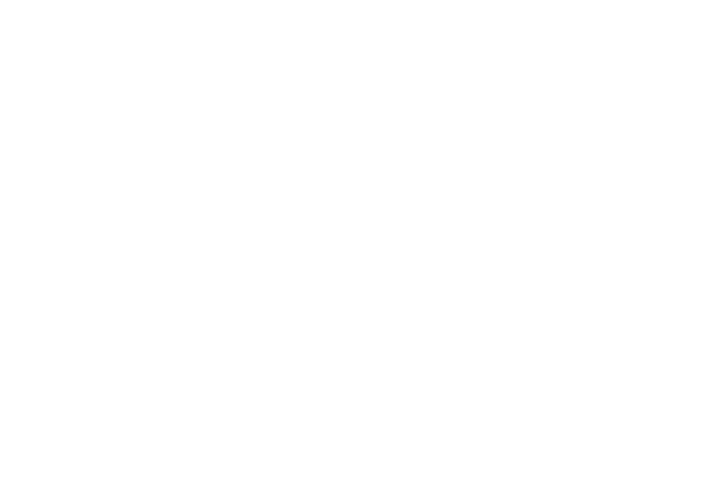 Wild Light