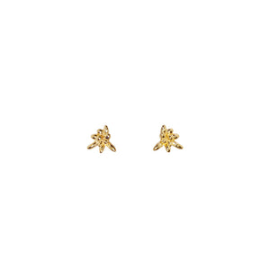 Faye Studs