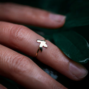 Little Dove Ring